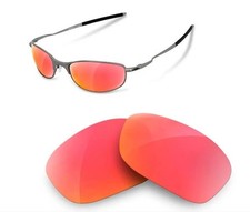 newpolar replacement polarized