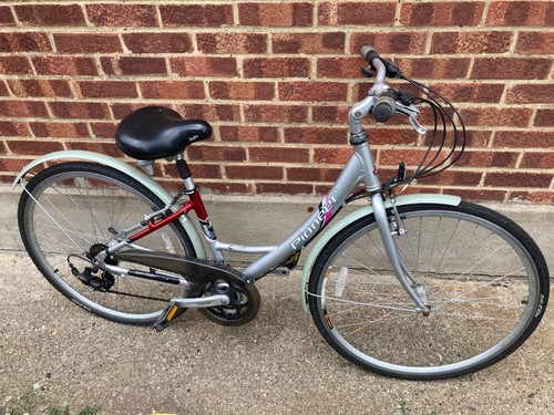 Raleigh pioneer metro - pioneer,