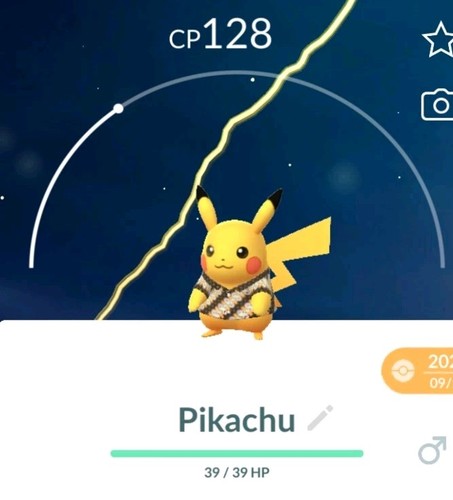 Pokemon pikachu with - -,