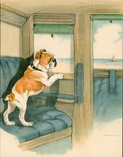 BULLDOG BLOBBS ON THE TRAIN