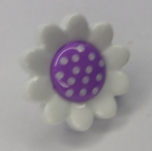 Pack dotty centre daisy - of,