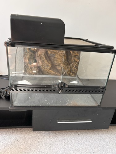 Exo terra glass terrarium - exo,