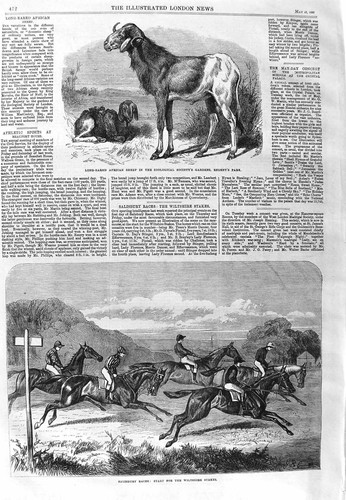 Original old antique print - original,