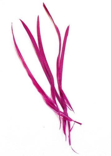 Long fascinator feathers - fascinator,