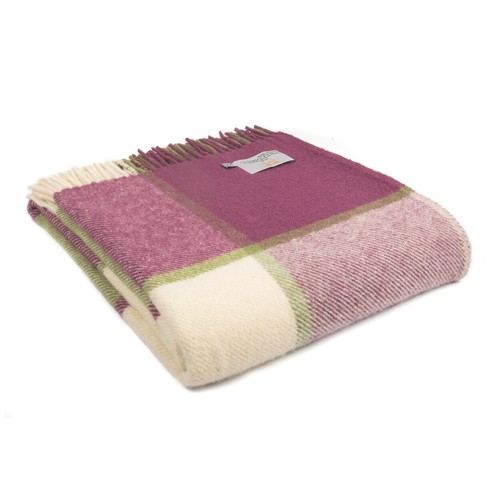 Raspberry block check 100 - raspberry,