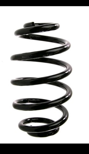 Anschler suspension rear - rear, coil