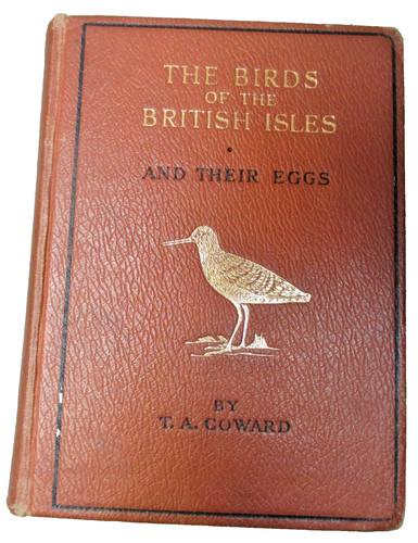 Birds the british - british, &