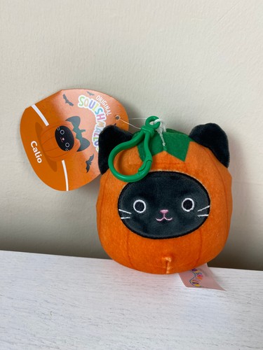 Calio the pumpkin cat - pumpkin,