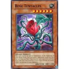 Rose Tentacles - RGBT-EN007 -