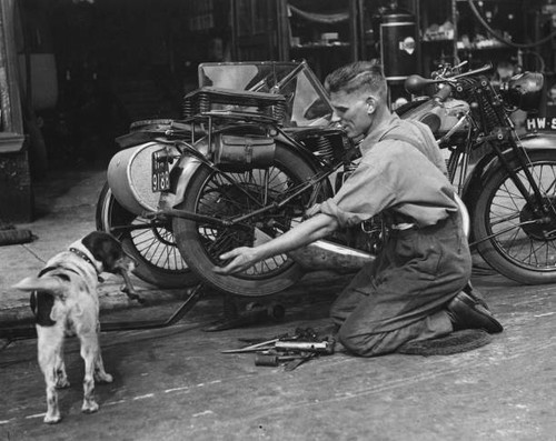 Dog called spot carrying - called,
