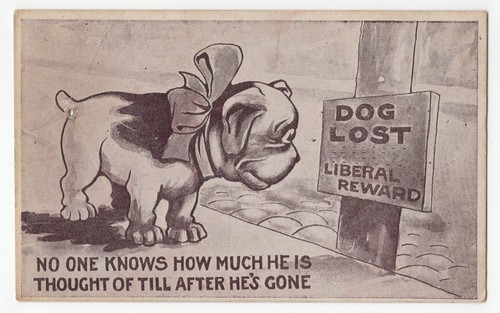 Lost dog puppy - lost, art