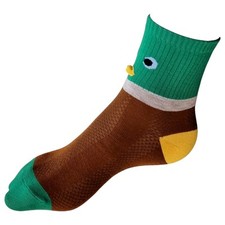 Curious Mallard Duck Face With