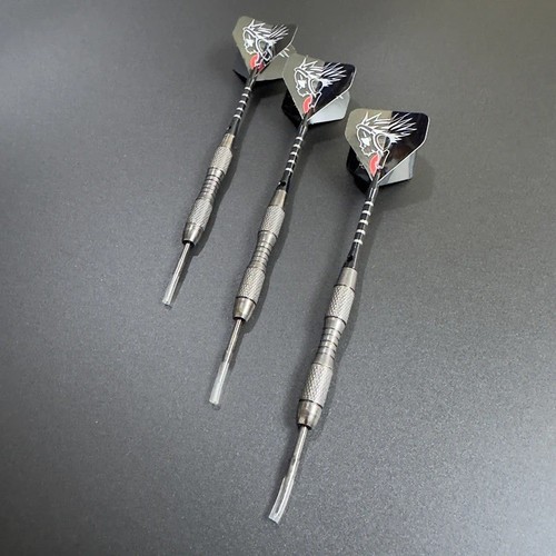 Darts set 20g - darts,