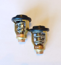 Thermostat for Yamaha outboard