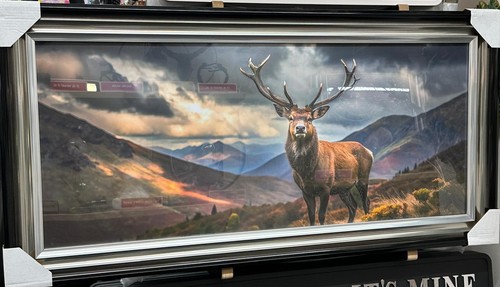 Stags the highlands - stags,