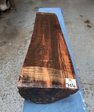 Snakewood Half Log / High
