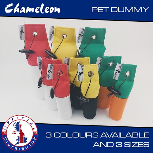 Gun dog training - dog, dummy