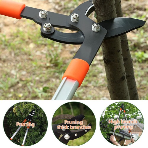 Extendable anvil loppers - anvil,