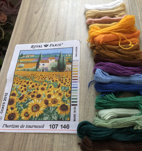 Royal paris tapestry kit - royal,