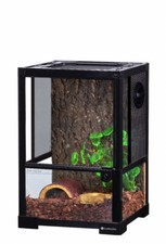 Swell Glass Terrarium for
