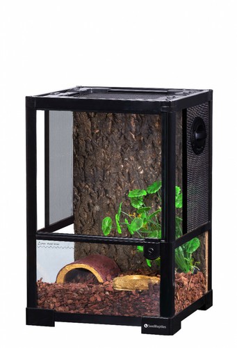 Swell glass terrarium for - swell,