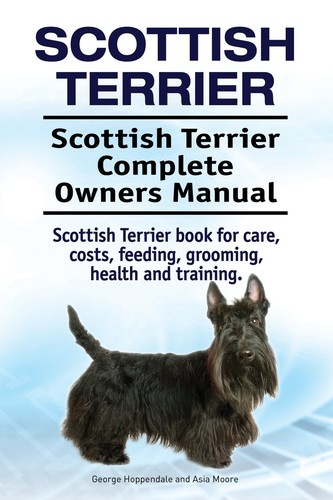 Scottish terrier - scottish, terrier.