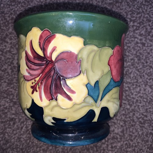 Vtg moorcroft hibiscus green - vtg, 'hibiscus'