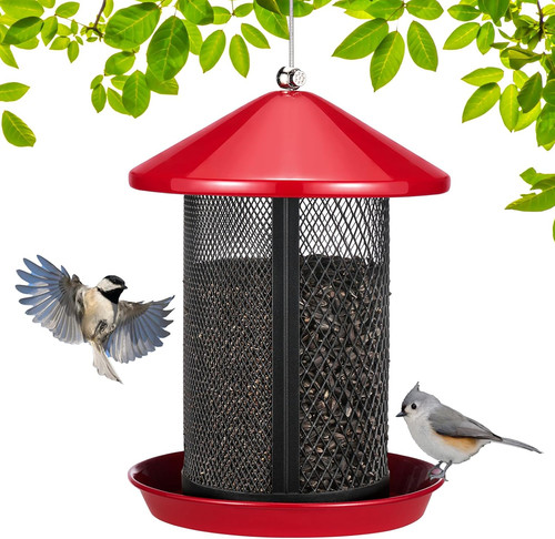 Metal bird feeder outdoor - feeder,