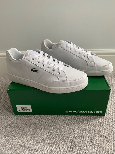 Men brand new lacoste - brand,