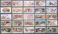 original cigarette cards by