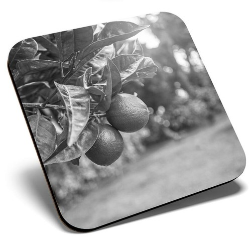 Square single coaster - single, bw