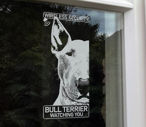 Bull terrier wireless - bull,