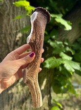 Wild Red Deer Antler Dog Chews Long Lasting - 100% Natural Best Chew