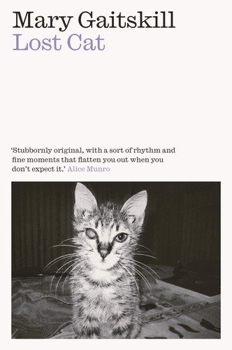 Lost cat memoir - lost,