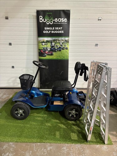 Used golf buggy - used,