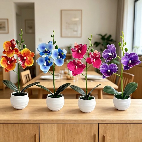 Phalaenopsis orchid potted - phalaenopsis,