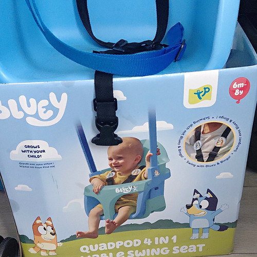 Bluey swing set and metal - bluey,