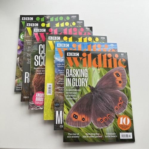 Bbc wildlife magazine - magazine, x12