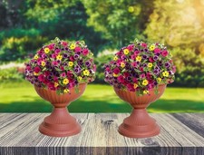 2 Terracotta Grecian Urn Patio