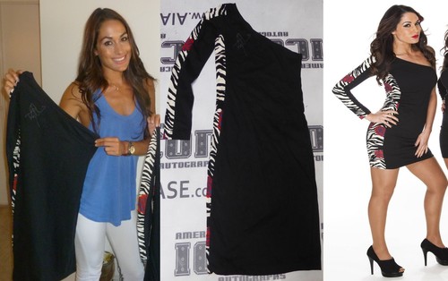 Brie the bella twins signed - brie,