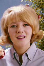 English Actress Julia Foster Posed Wearing A Lilac Shirt 1965 4x6 Photo