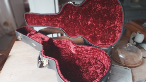 Genuine taylor deluxe case - taylor,
