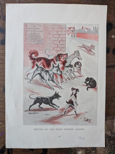 Louis wain antique bookplate - wain,