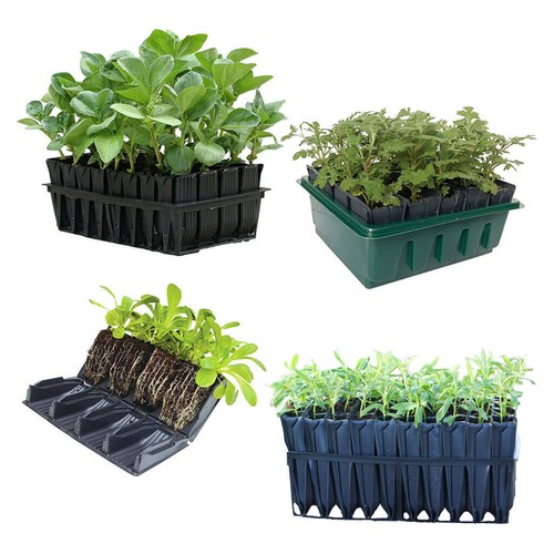 Haxnicks root trainer tray - trainer,