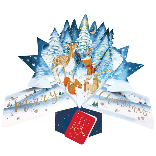 Son christmas card woodland - christmas, 3d