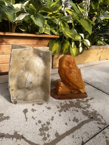 Latex and fibreglass mould - mould, of