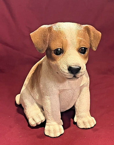 Vivid arts pet pals jack - vivid,