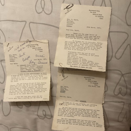 Arab horse ephemera letters - horse,