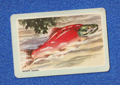 Vintage woolworths fish swap - vintage,