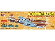 P-40 Warhawk 419mm Wingspan